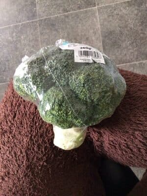 Broccoli