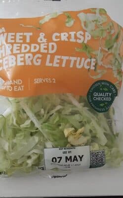 Iceberg Lettuce