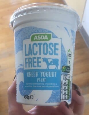 Lactose Free Greek Yogurt