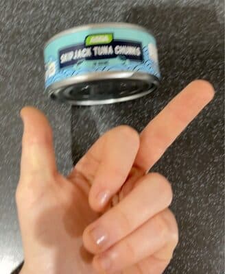 Skipjack tuna chunks