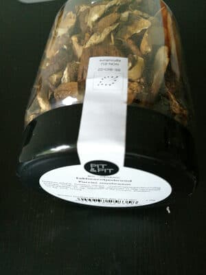Porcini mushroom