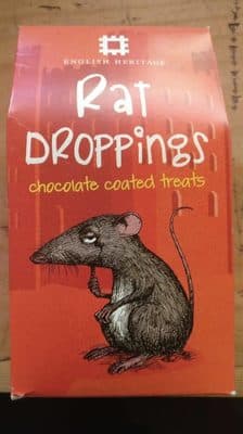 Rat Dropping