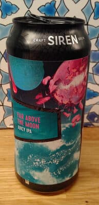 Far Above the Moon