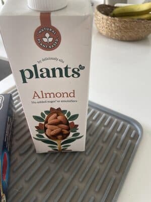 Plants Almond Milk
