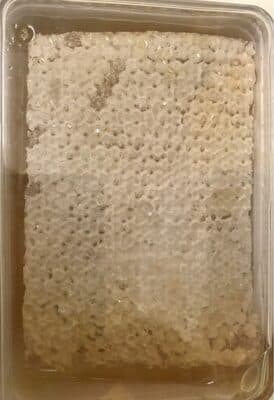Honeycomb