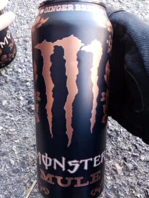 Monster Mule