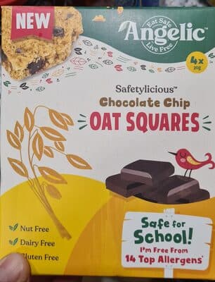 Chocolate Chip Oat Squares