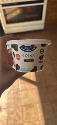Greek Yogurt