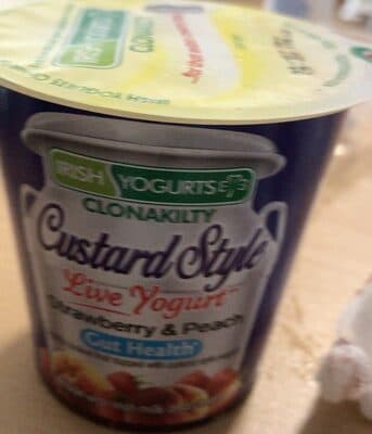 Custard Style