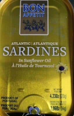 Sardine Atlantic