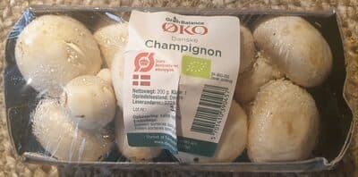 ko Danske Champignon
