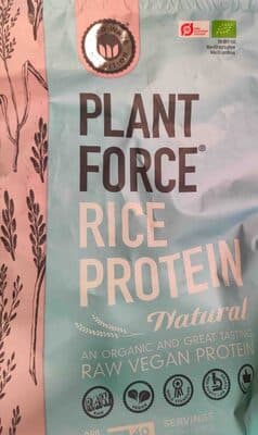 Rice Protein