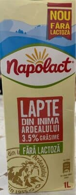 Lapte