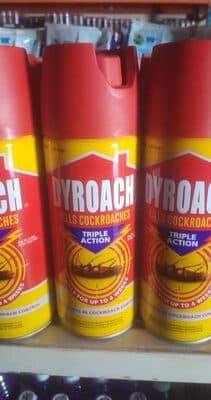 Dyroach