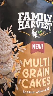 Multigrain Cakes