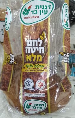 Whole Wheat Bread