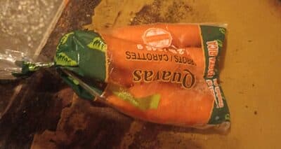 Carrot