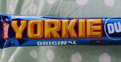Yorkie