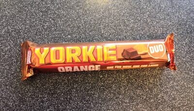 Yorkie Orange Duo