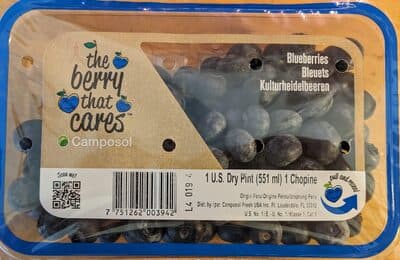 Blueberries