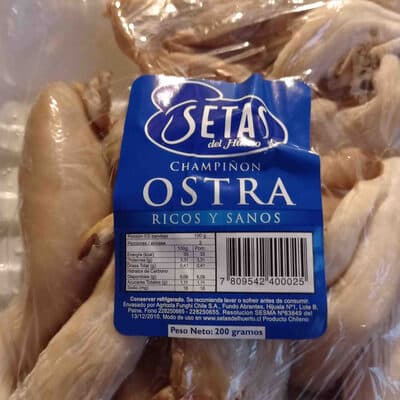 Champinon Ostra