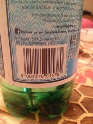 S. Pellegrino
