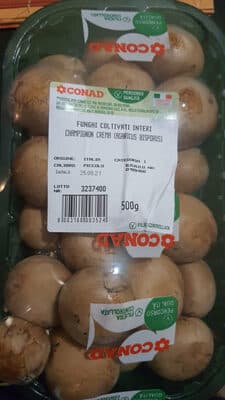 Champinjon Crema
