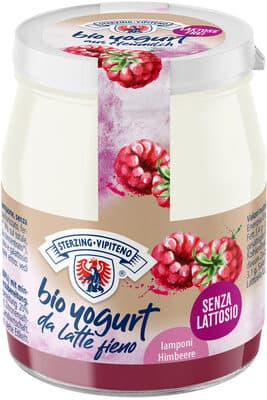Organic Whole Milk Yogurt From Haymilk TSG Lactose Free Raspberry