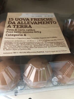 Uova A Terra