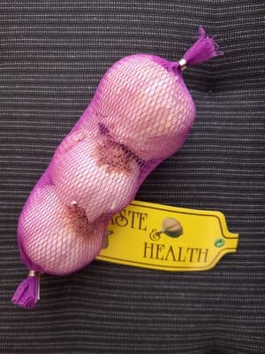 Garlic
