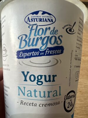 Yogur Natural Flor de Burgos