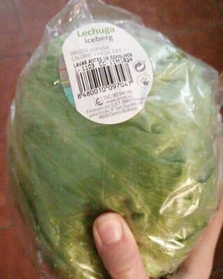 Lechuga iceberg