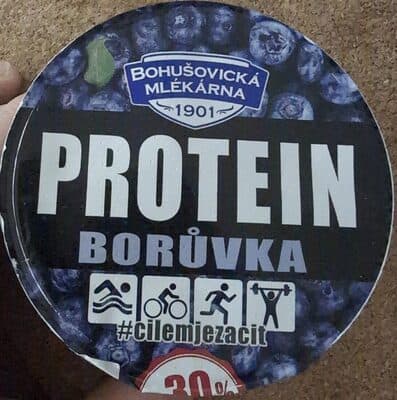 Protein Yogurt (Blueberry)