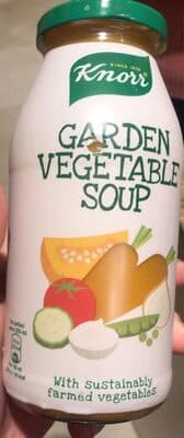Garden Vegetable Soup