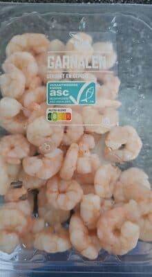 Shrimp