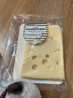 Sliced Dutch Maasdam