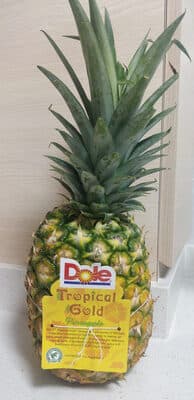 Tropical Gold Pineapple