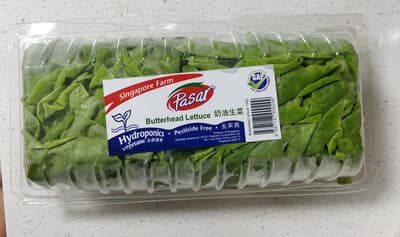Butterhead Lettuce