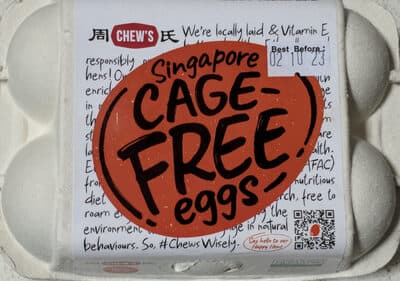 Cage-Free Eggs