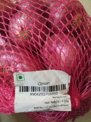 Onion
