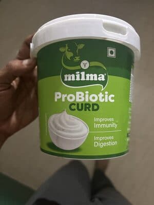 Probiotic Curd