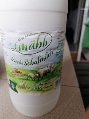 Fresh sheep milk