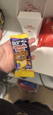 Caramello Koala