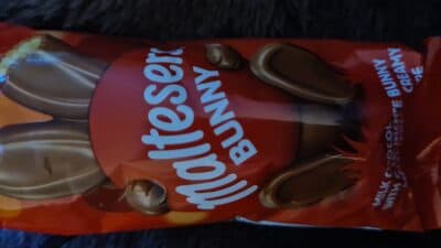 malteser bunny