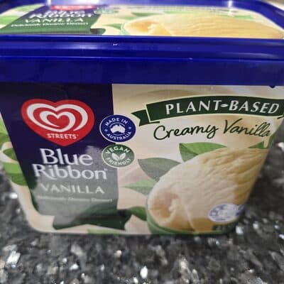 Vanilla Plant Based Ice Cream