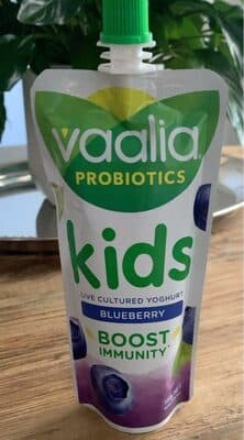Kids Blueberry Yoghurt