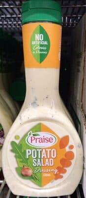 Potato Salad Dressing