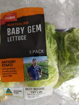 Australian Baby Gem Lettuce