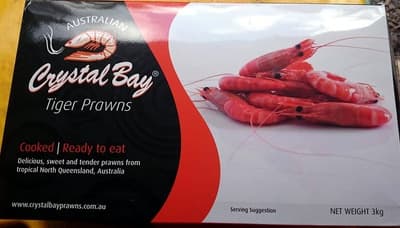 Australian Tiger Prawns