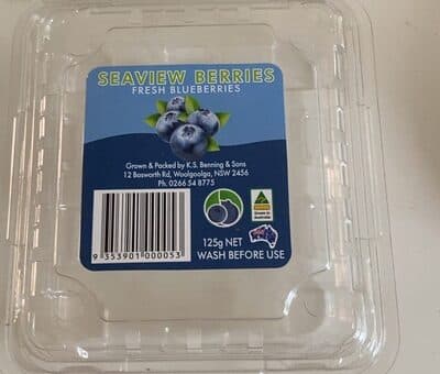 Fresh Blueberries